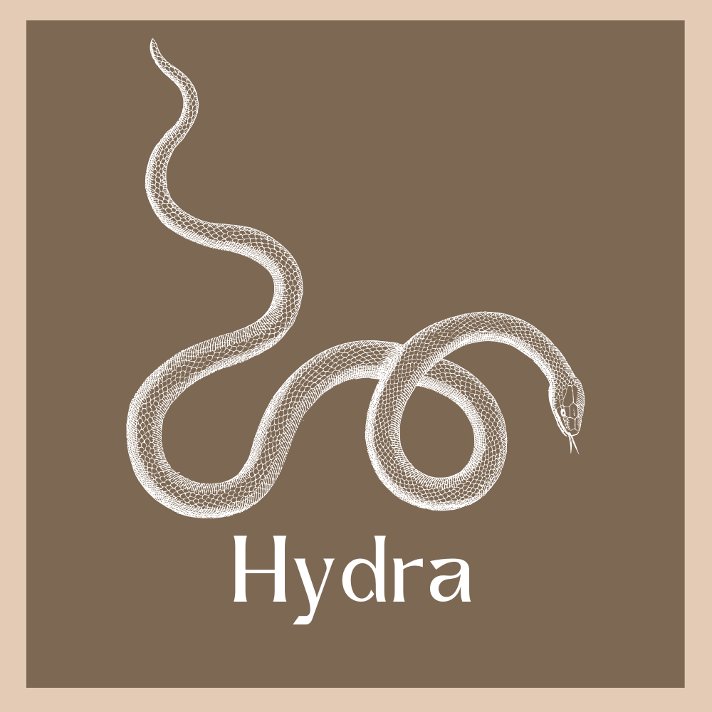 Hydra